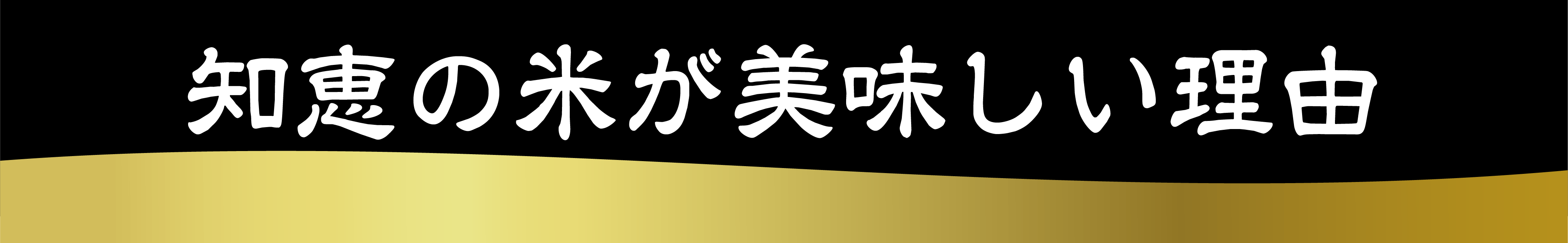 知恵の米が美味しい理由ボタン