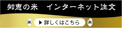 インターネットボタン